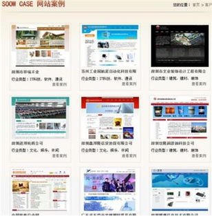 專(zhuān)業(yè)網(wǎng)站建設(shè) 設(shè)計(jì)、制作與選擇公司全指南